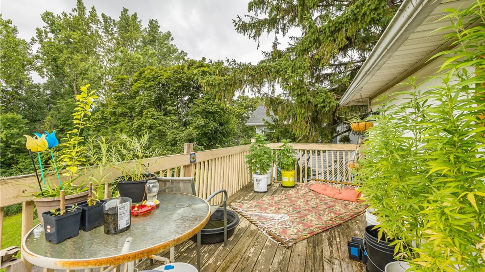 Property at 1209 Ridge Road, Webster, NY 14580 26