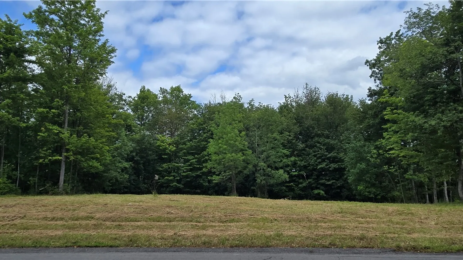 Property at 7101 Kittiwake Run, Manlius, NY 13104 47