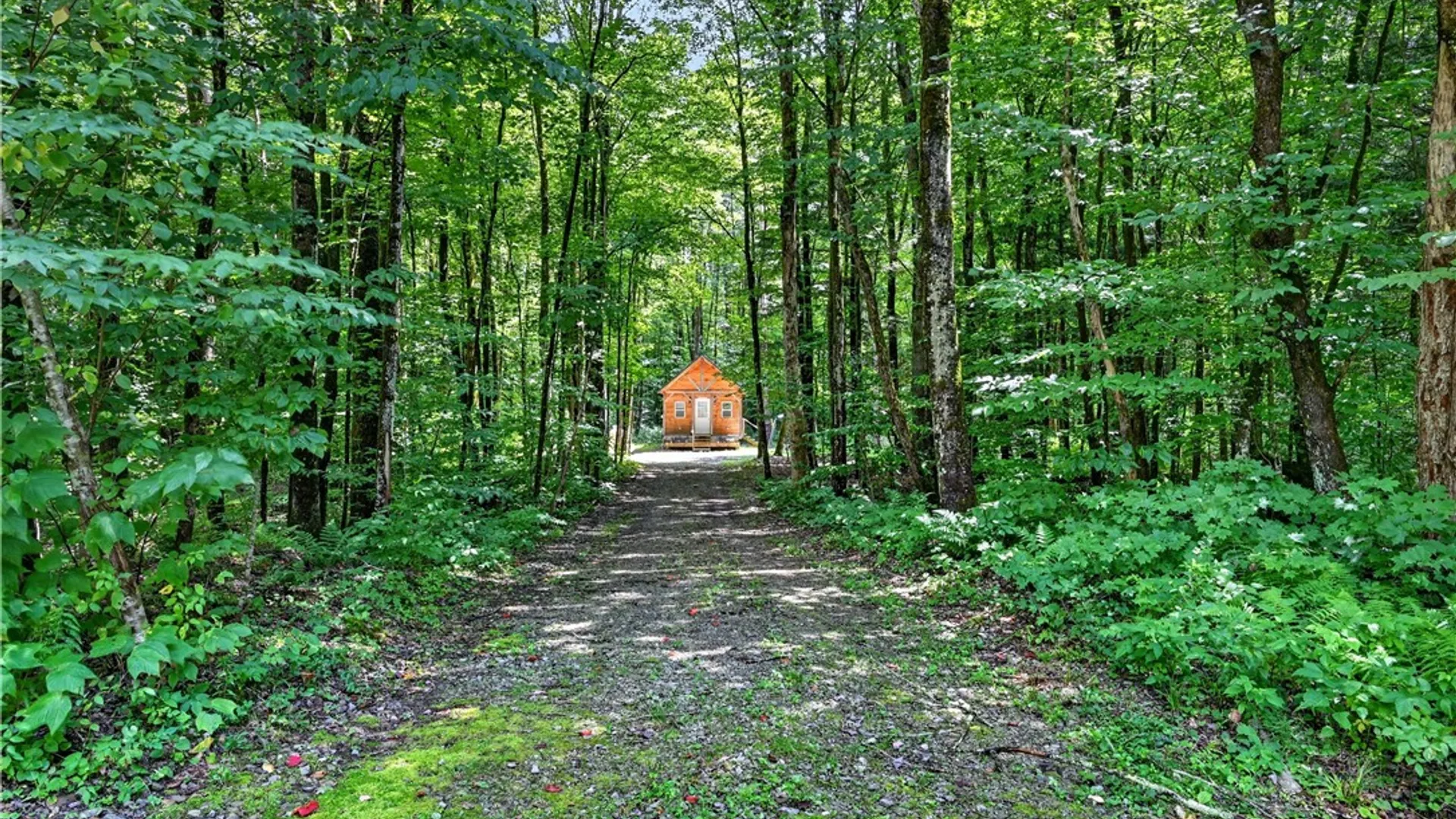 Property at 11 Beaver Dam Brook Road, Williamstown, NY 13302 8