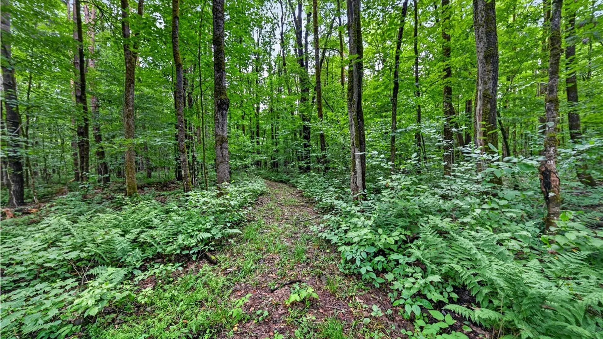 Property at 11 Beaver Dam Brook Road, Williamstown, NY 13302 30