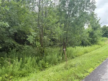 Property at Red School House Road, Palermo, NY 13069