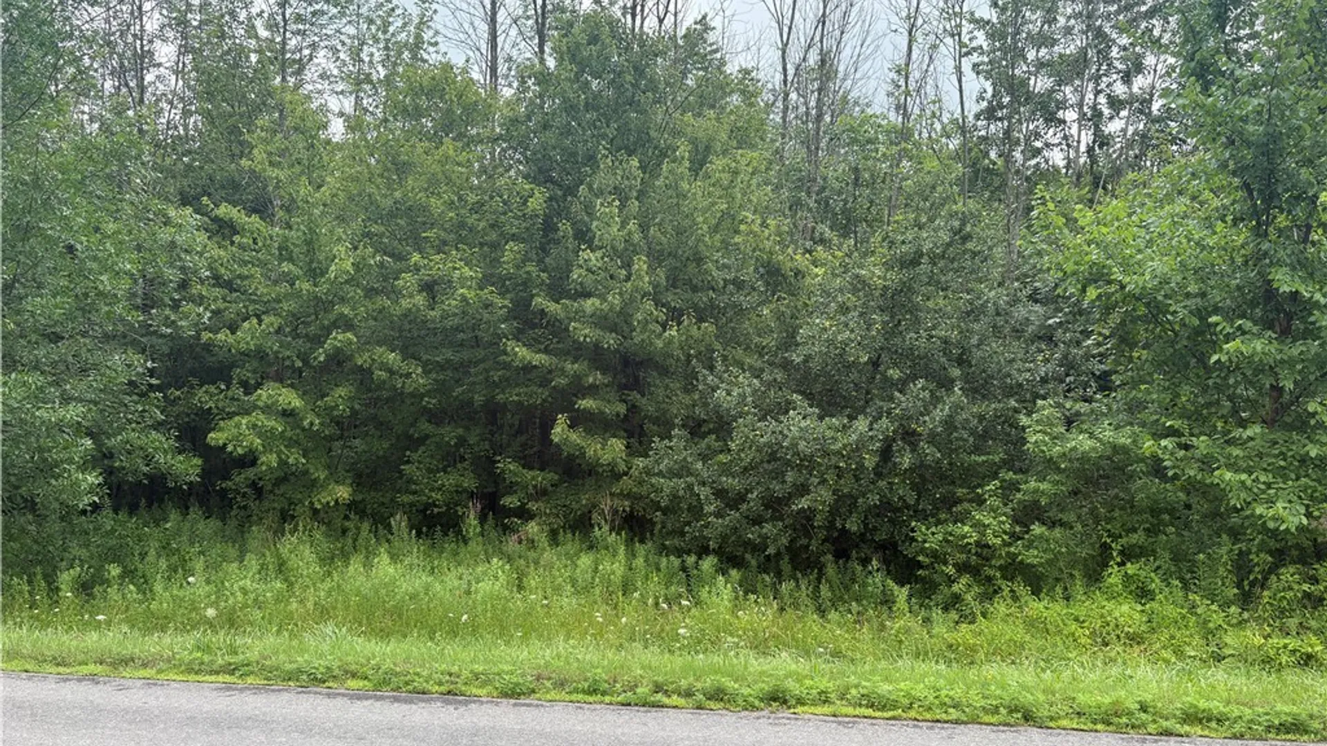 Property at Red School House Road, Palermo, NY 13069 3