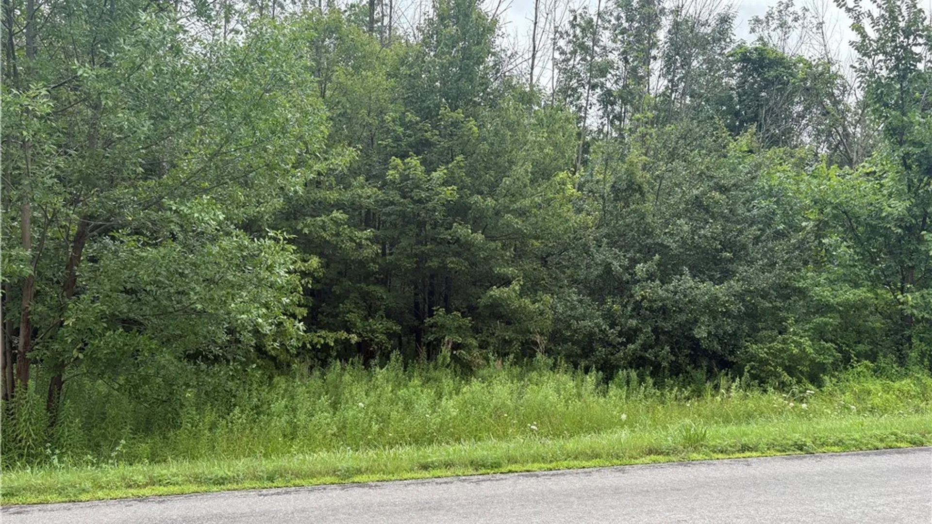 Property at Red School House Road, Palermo, NY 13069 4
