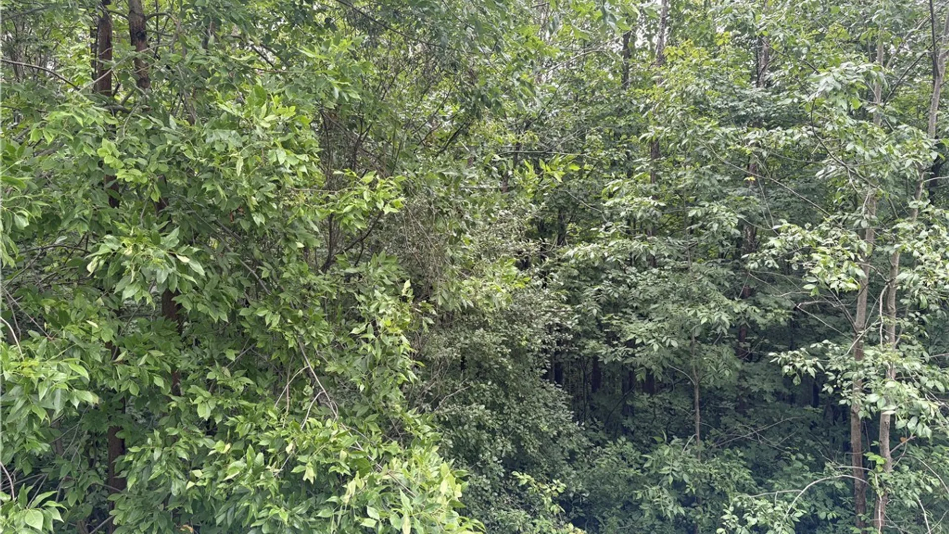Property at Red School House Road, Palermo, NY 13069 5