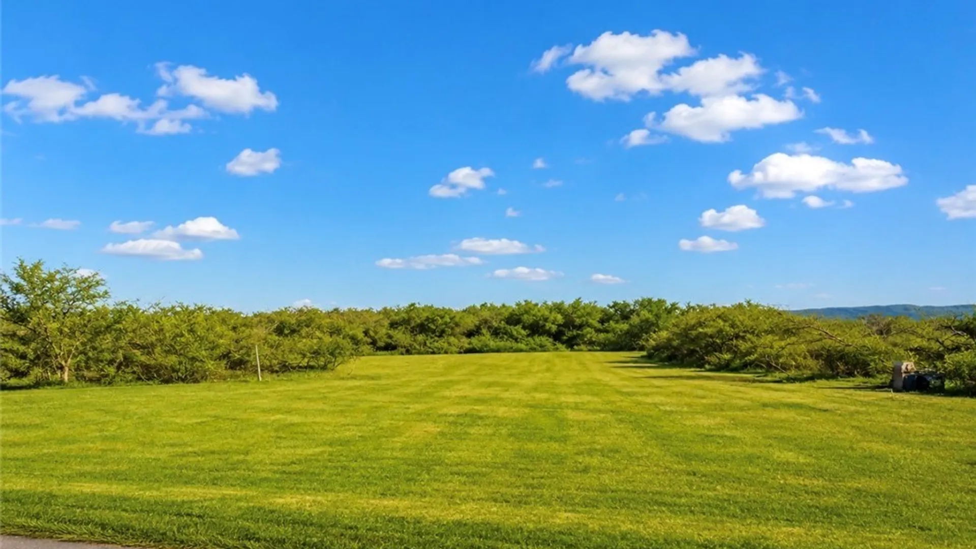 Property at 22877 Nys Route 342, Pamelia, NY 13601 5