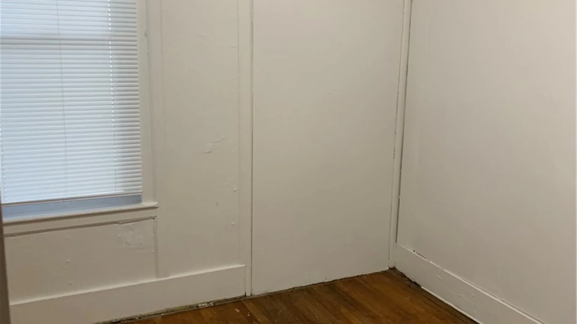 Property at 206 South Avenue, Elmira City, NY 14904 9