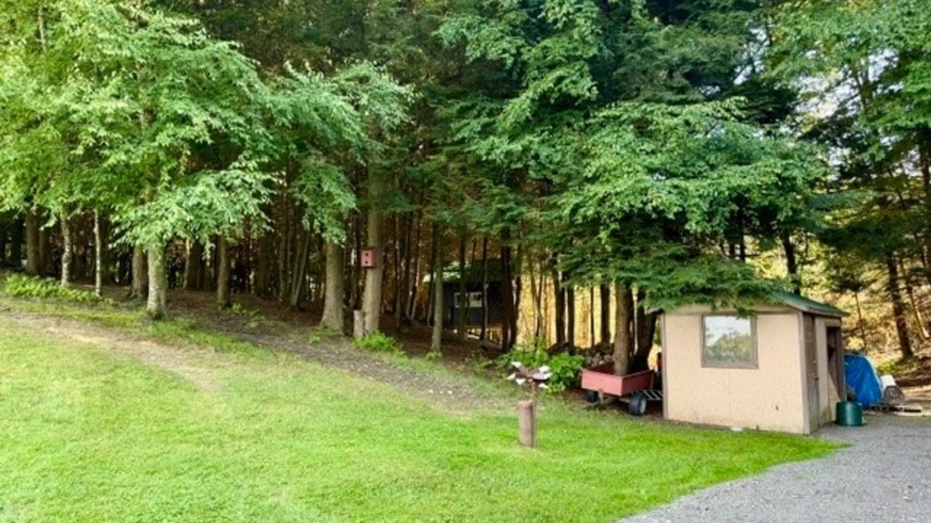 Property at 5180 Beach Road, Willet, NY 13040 36