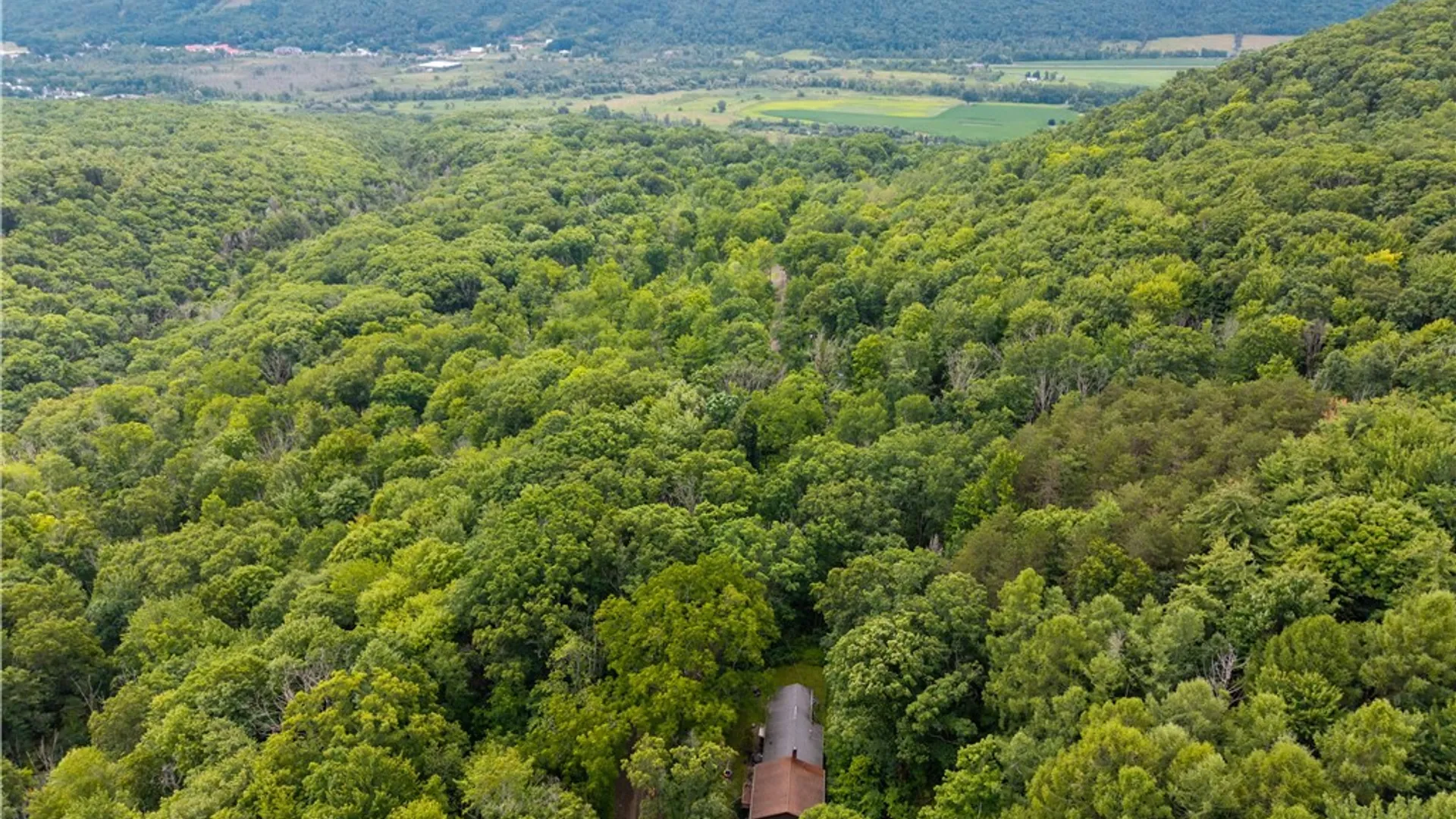 Property at 8525 Vogt Road, Urbana, NY 14840 48