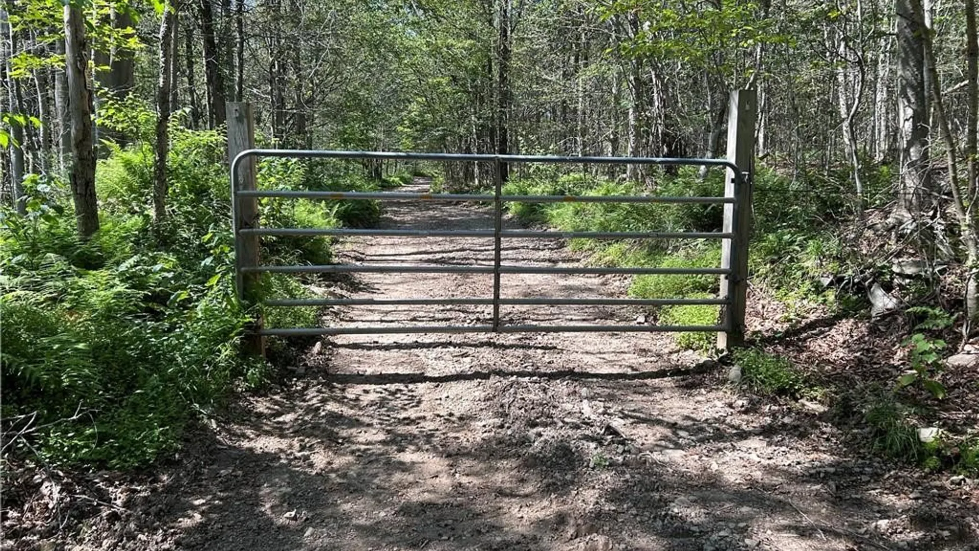 Property at 690 Dufton Hollow Road, Tompkins, NY 13783 8