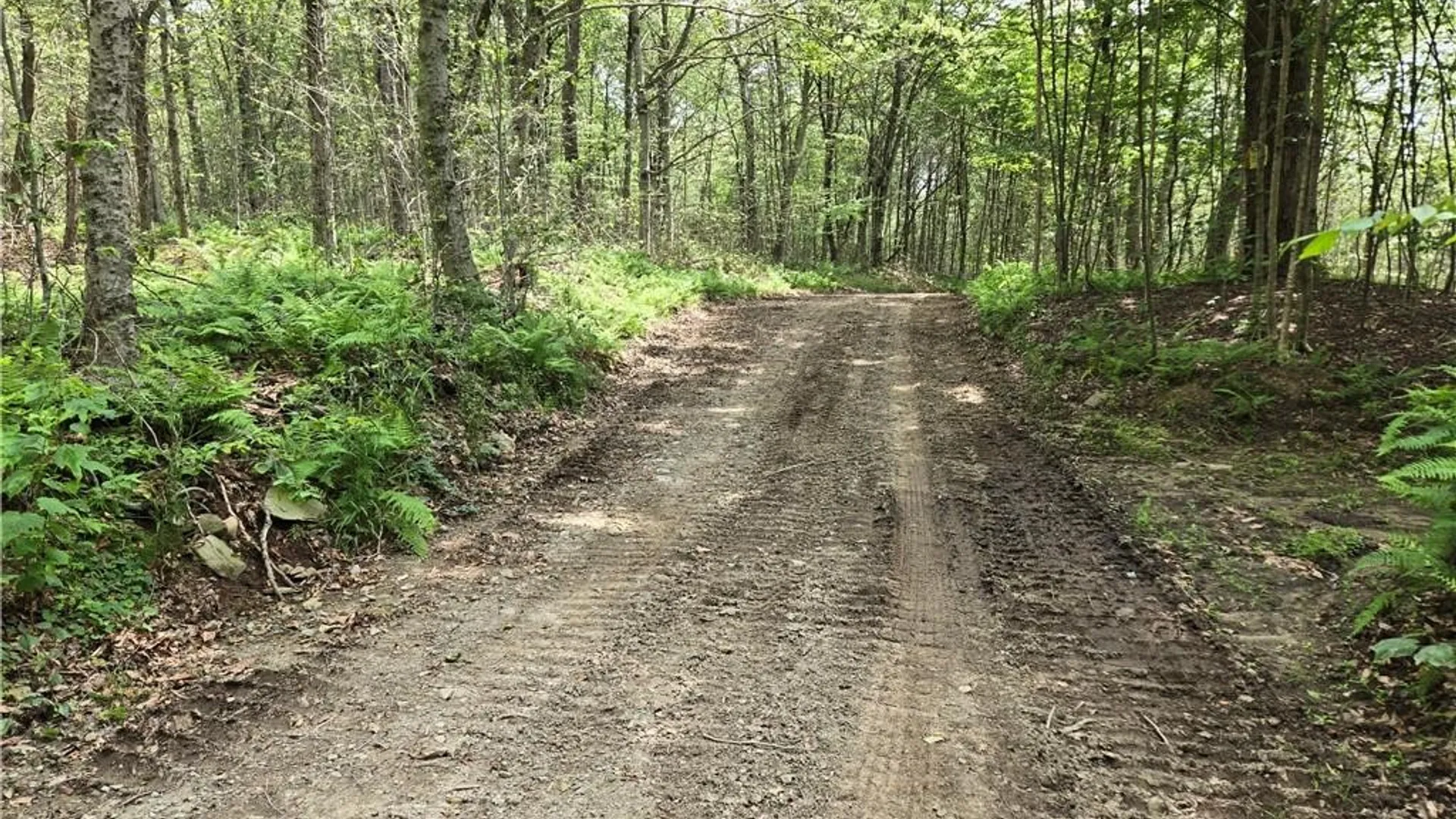 Property at 690 Dufton Hollow Road, Tompkins, NY 13783 9