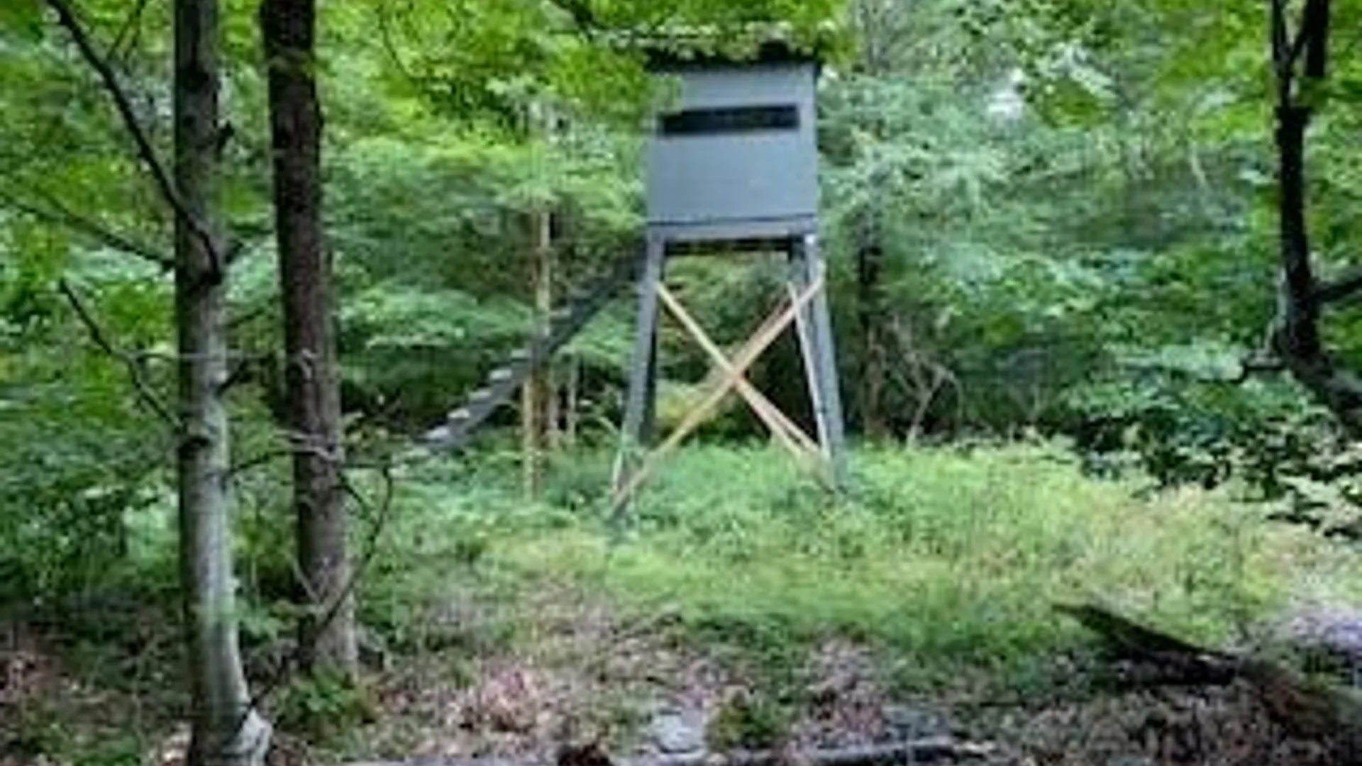Property at 690 Dufton Hollow Road, Tompkins, NY 13783 16