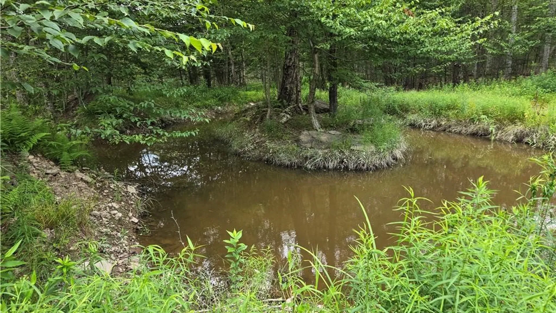 Property at 690 Dufton Hollow Road, Tompkins, NY 13783 17