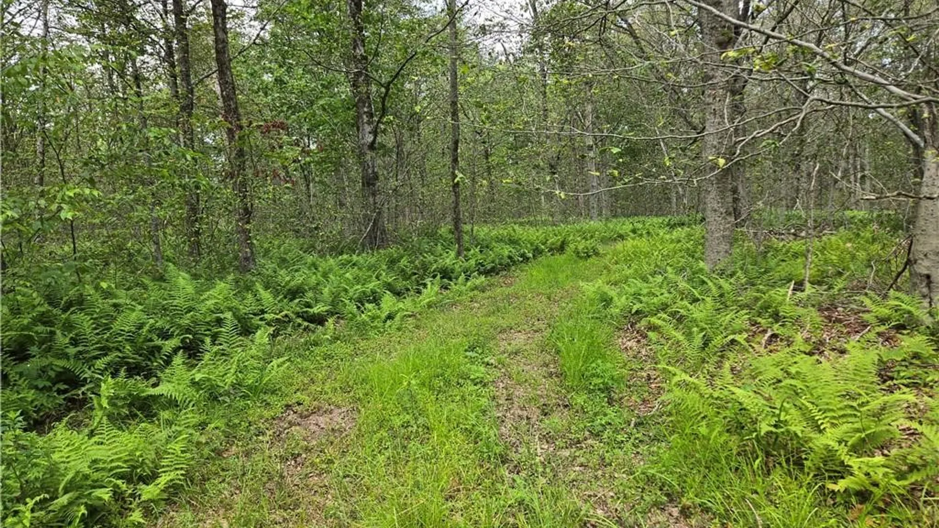Property at 690 Dufton Hollow Road, Tompkins, NY 13783 18