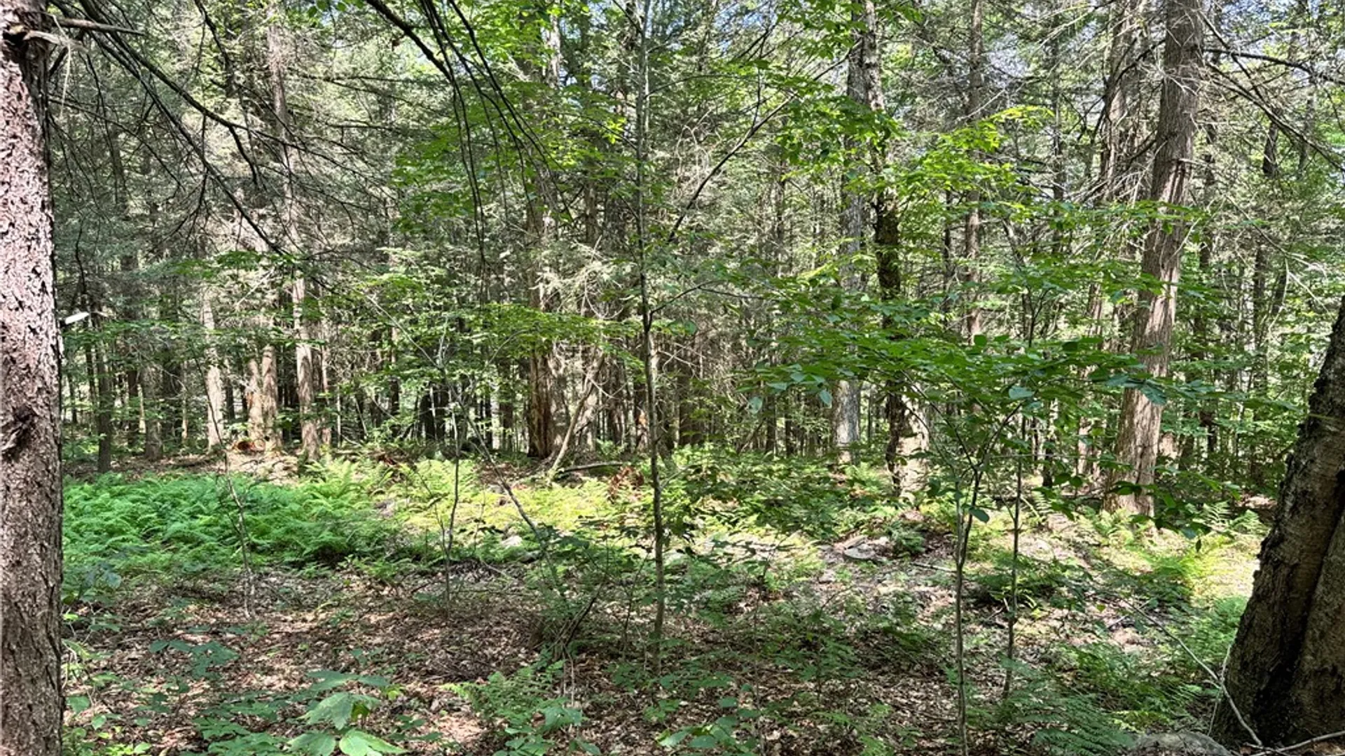 Property at Jang Soo Way, Blenheim, NY 12131 24