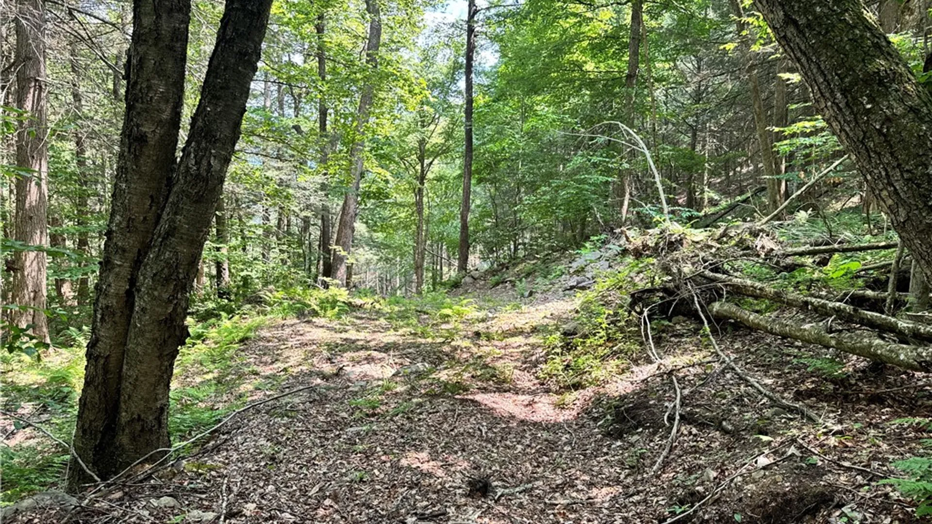 Property at Jang Soo Way, Blenheim, NY 12131 26
