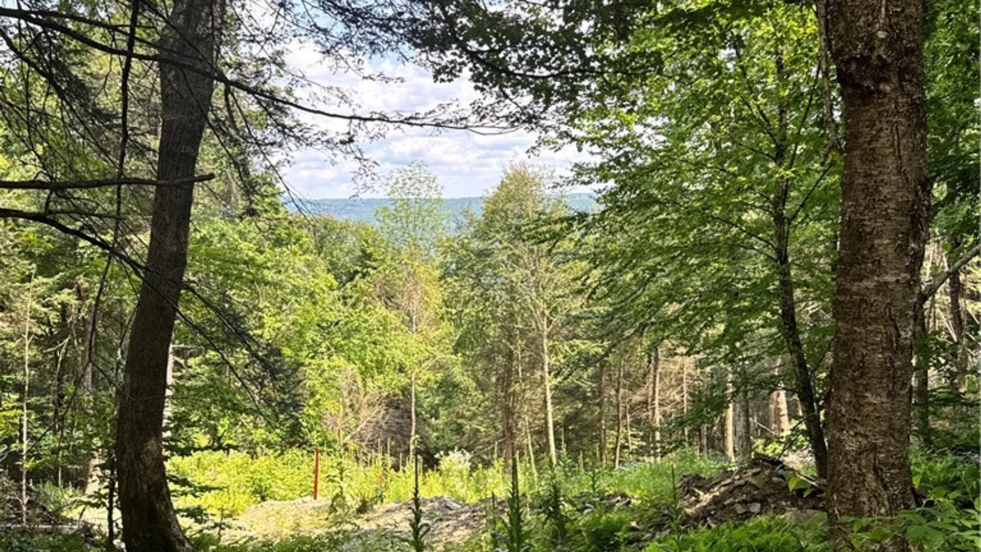 Property at Jang Soo Way, Blenheim, NY 12131 25