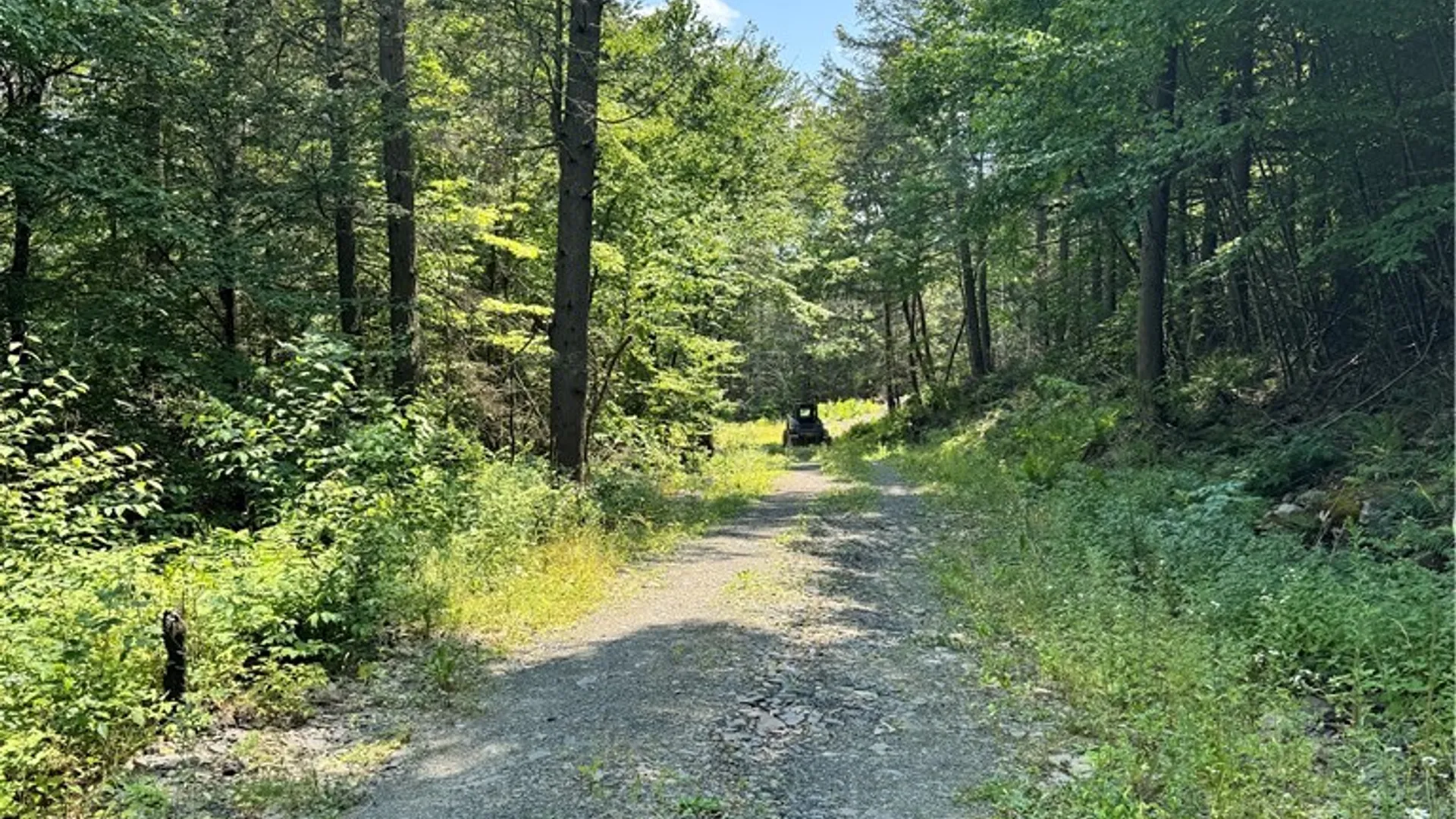 Property at Jang Soo Way, Blenheim, NY 12131 8