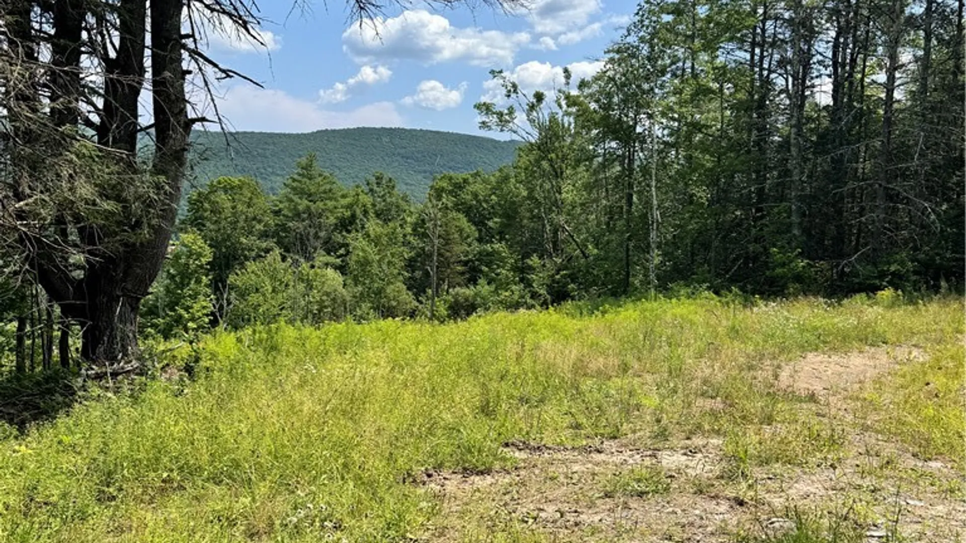 Property at Jang Soo Way, Blenheim, NY 12131 4