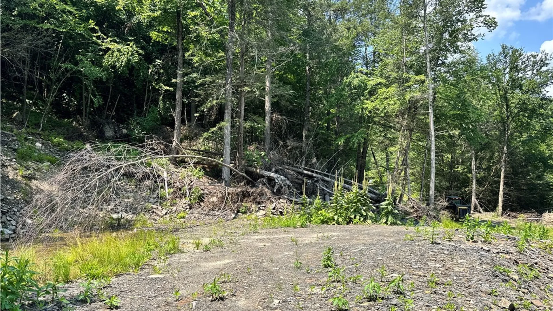 Property at Jang Soo Way, Blenheim, NY 12131 11