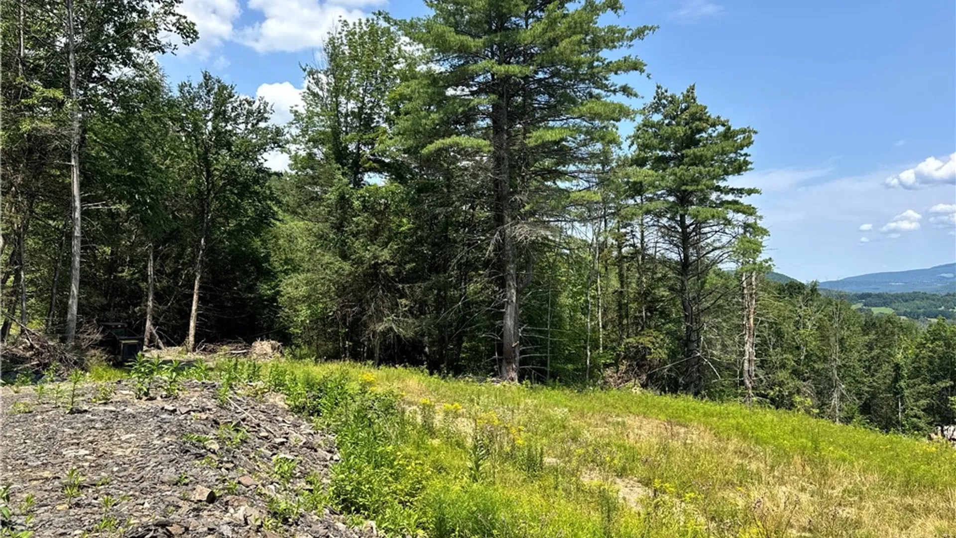 Property at Jang Soo Way, Blenheim, NY 12131 3