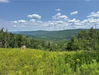 Property at Jang Soo Way, Blenheim, NY 12131