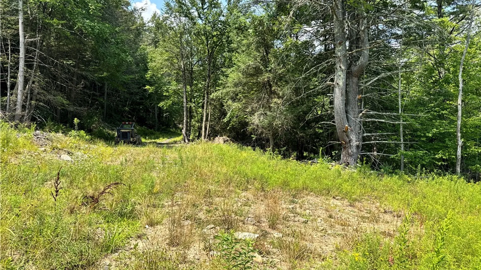 Property at Jang Soo Way, Blenheim, NY 12131 10