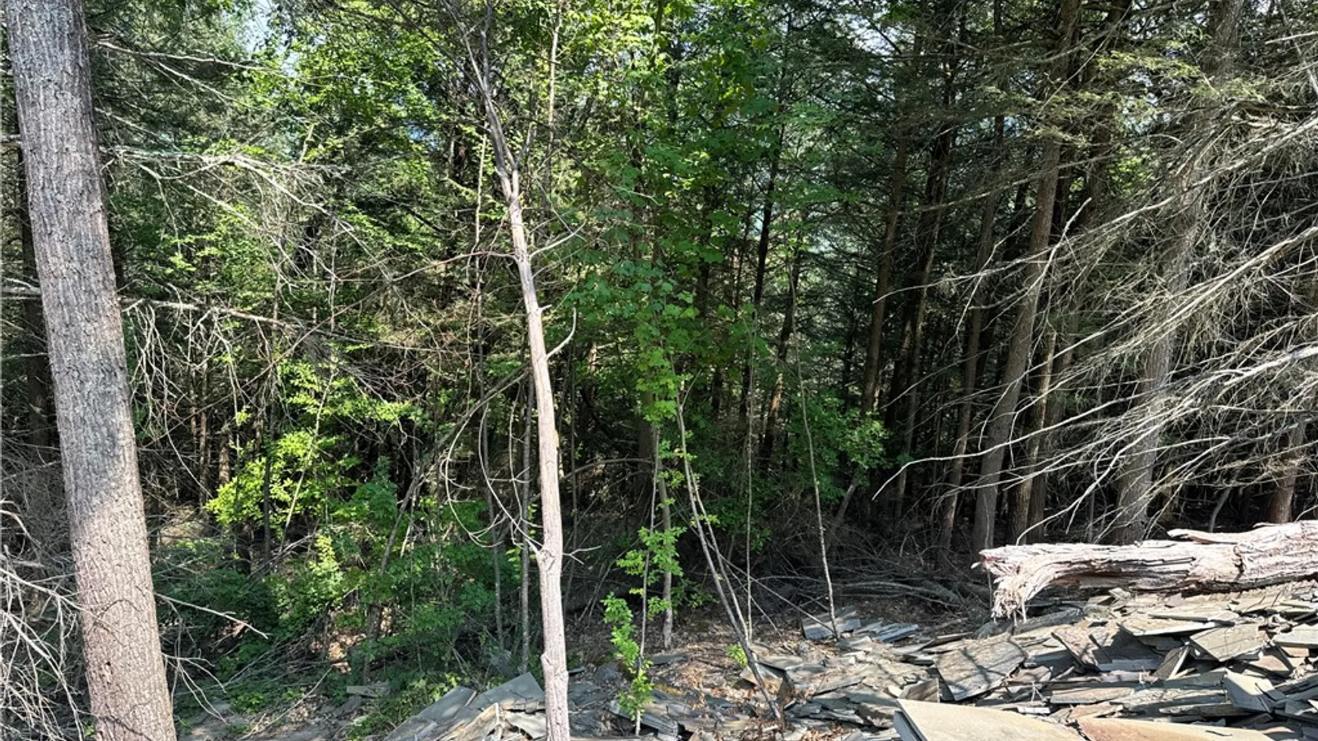 Property at Jang Soo Way, Blenheim, NY 12131 21