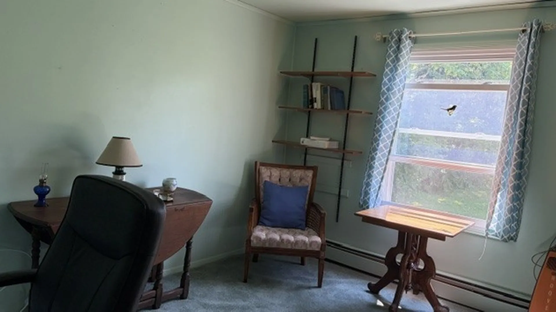 Property at 33 North Avenue, Parma, NY 14468 20