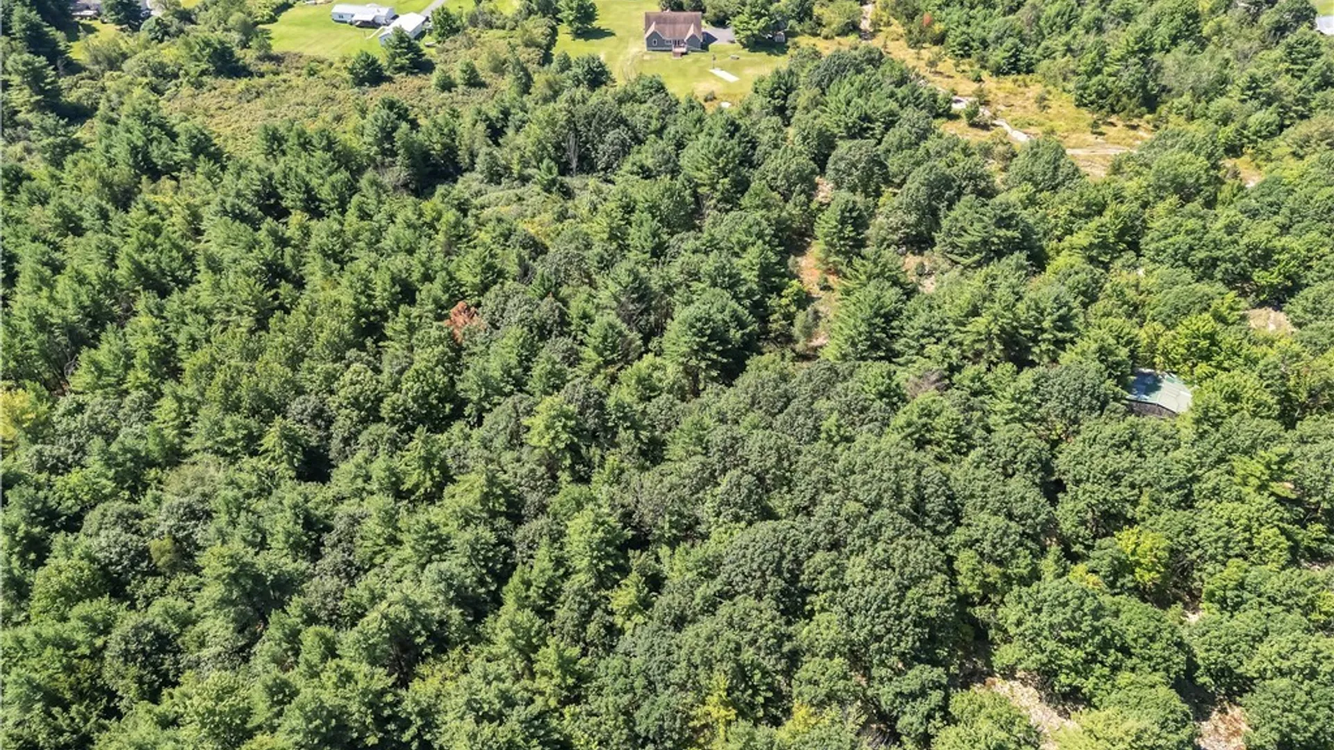 Property at 28303 Joyner Road, Theresa, NY 13691 42