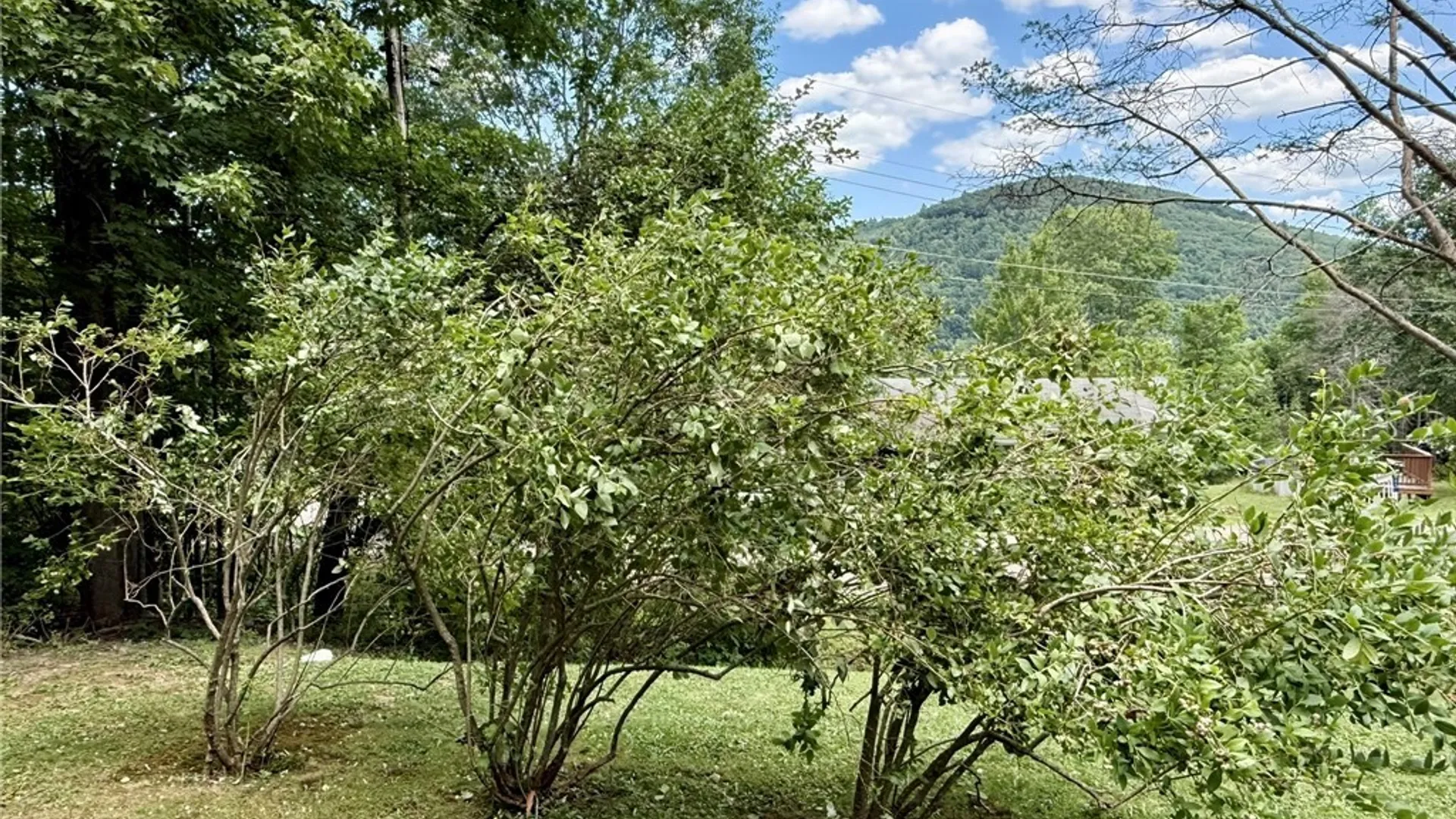 Property at 46 Chris Drive, Foster Town, PA 16701 34