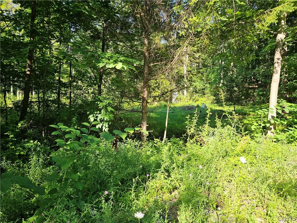 Property at Stables Road, Fenner, NY 13035