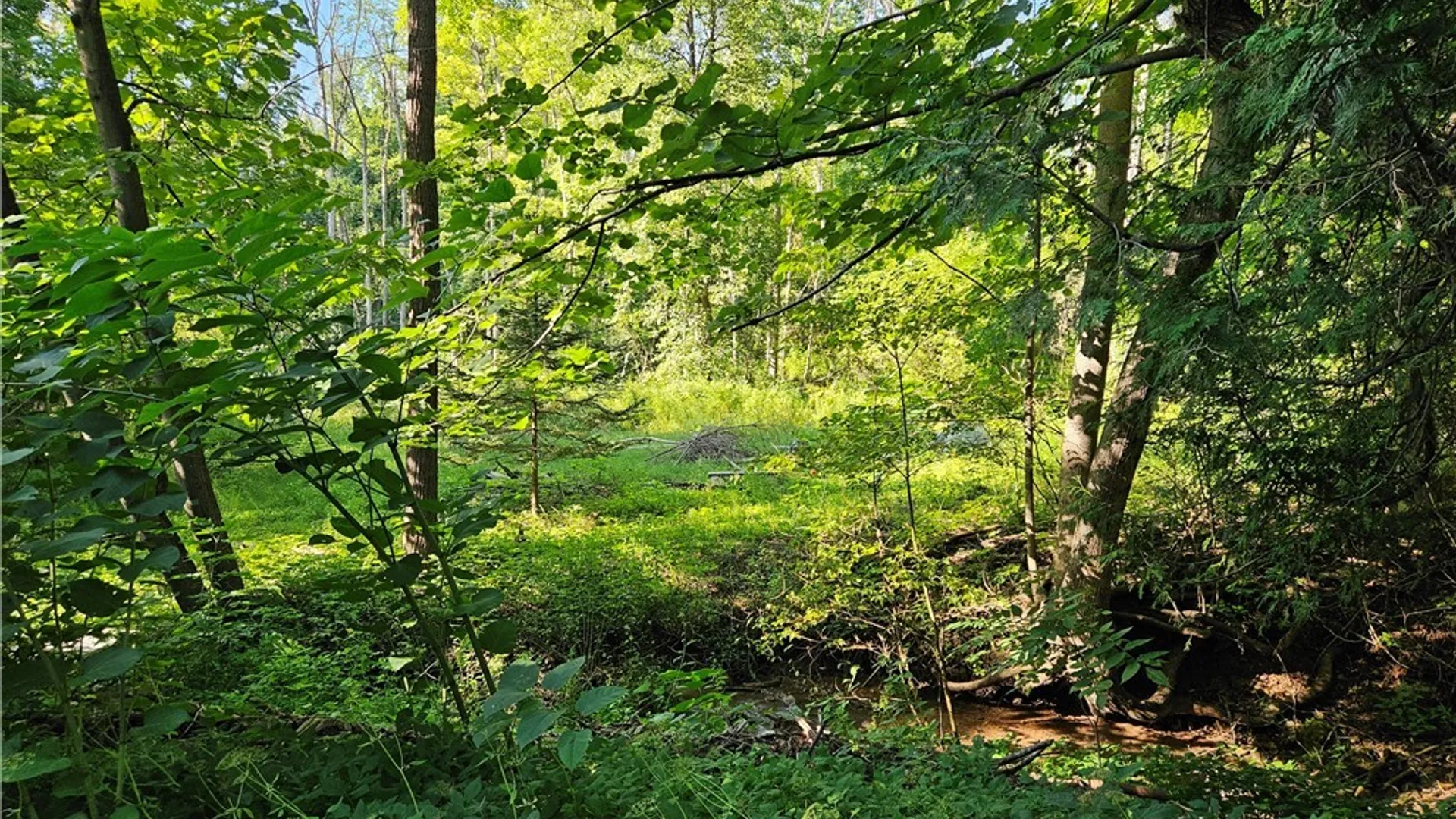 Property at Stables Road, Fenner, NY 13035 3