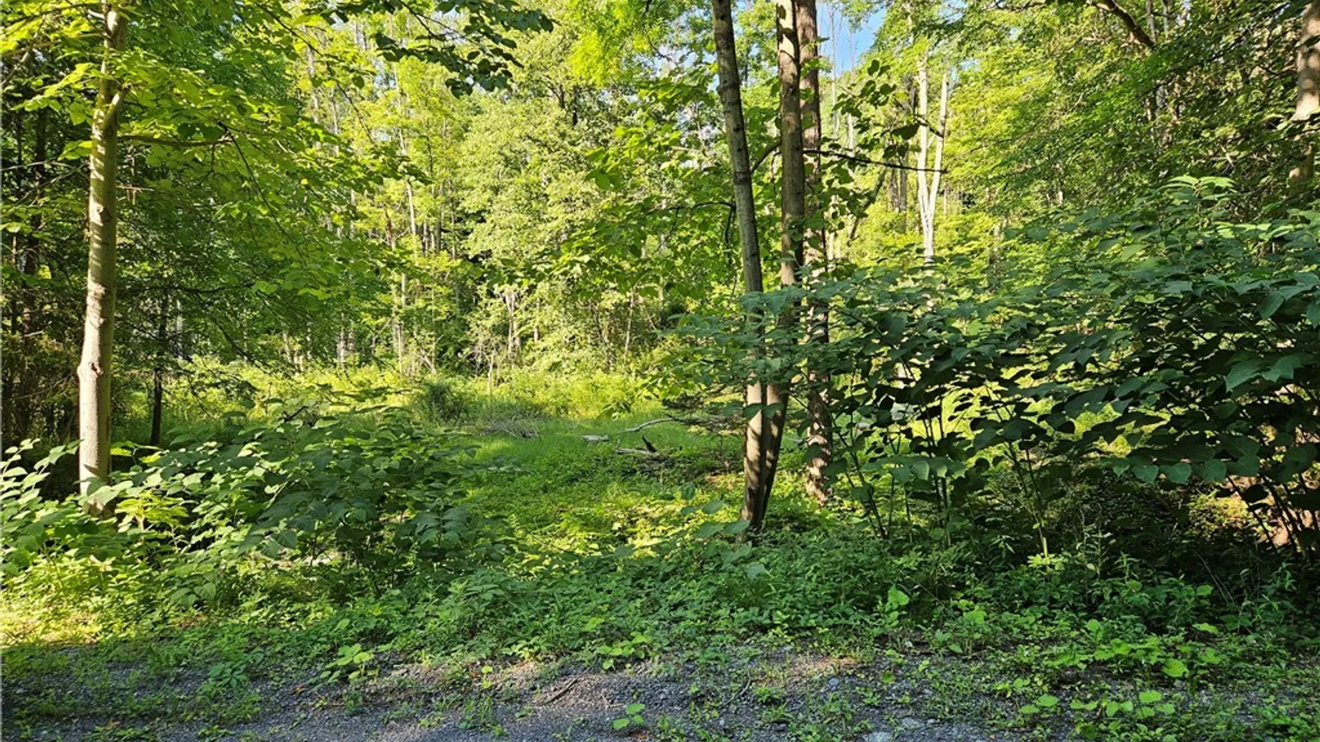 Property at Stables Road, Fenner, NY 13035 4