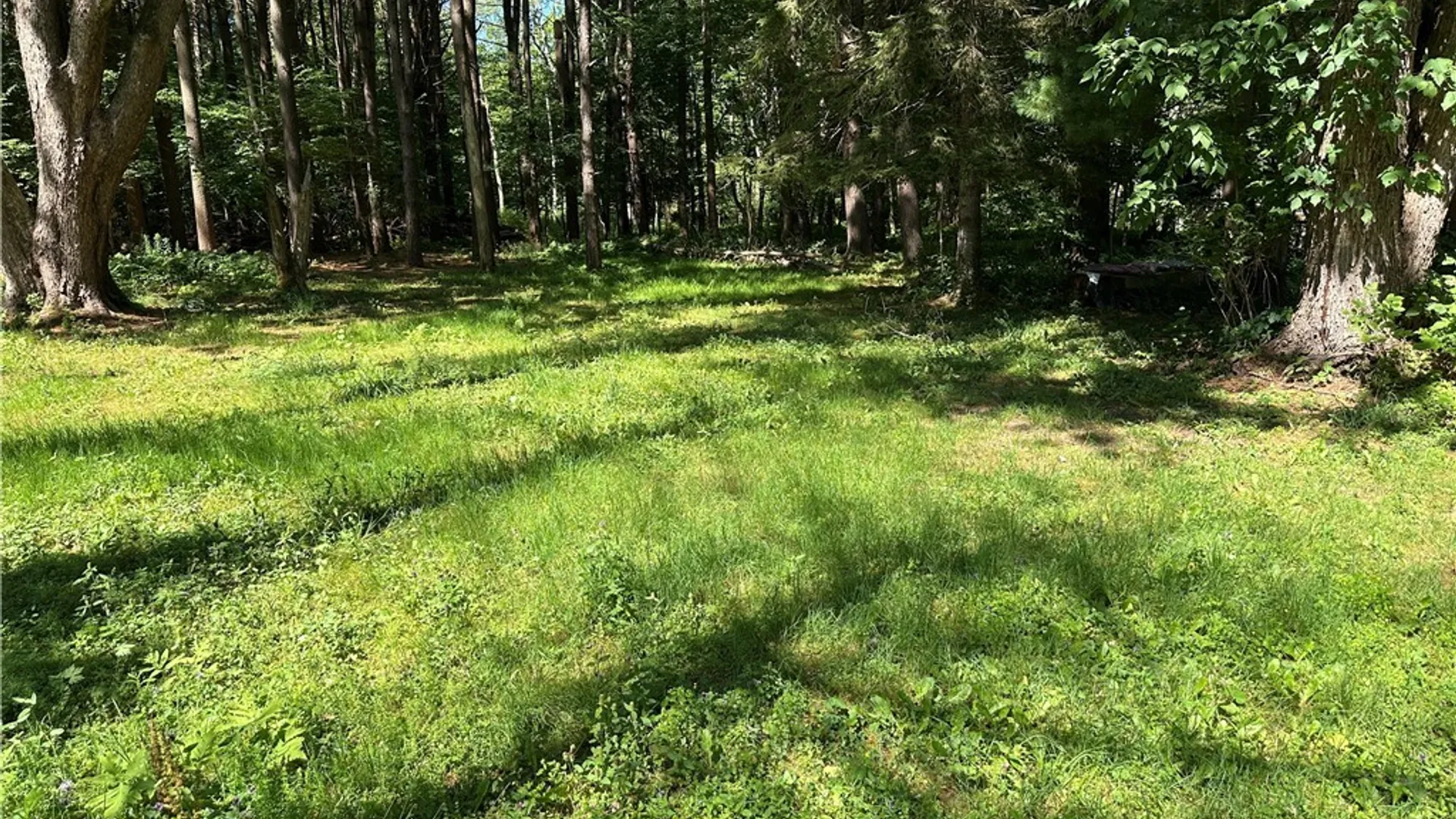 Property at 2326 Snyder Road, Orangeville, NY 14569 4