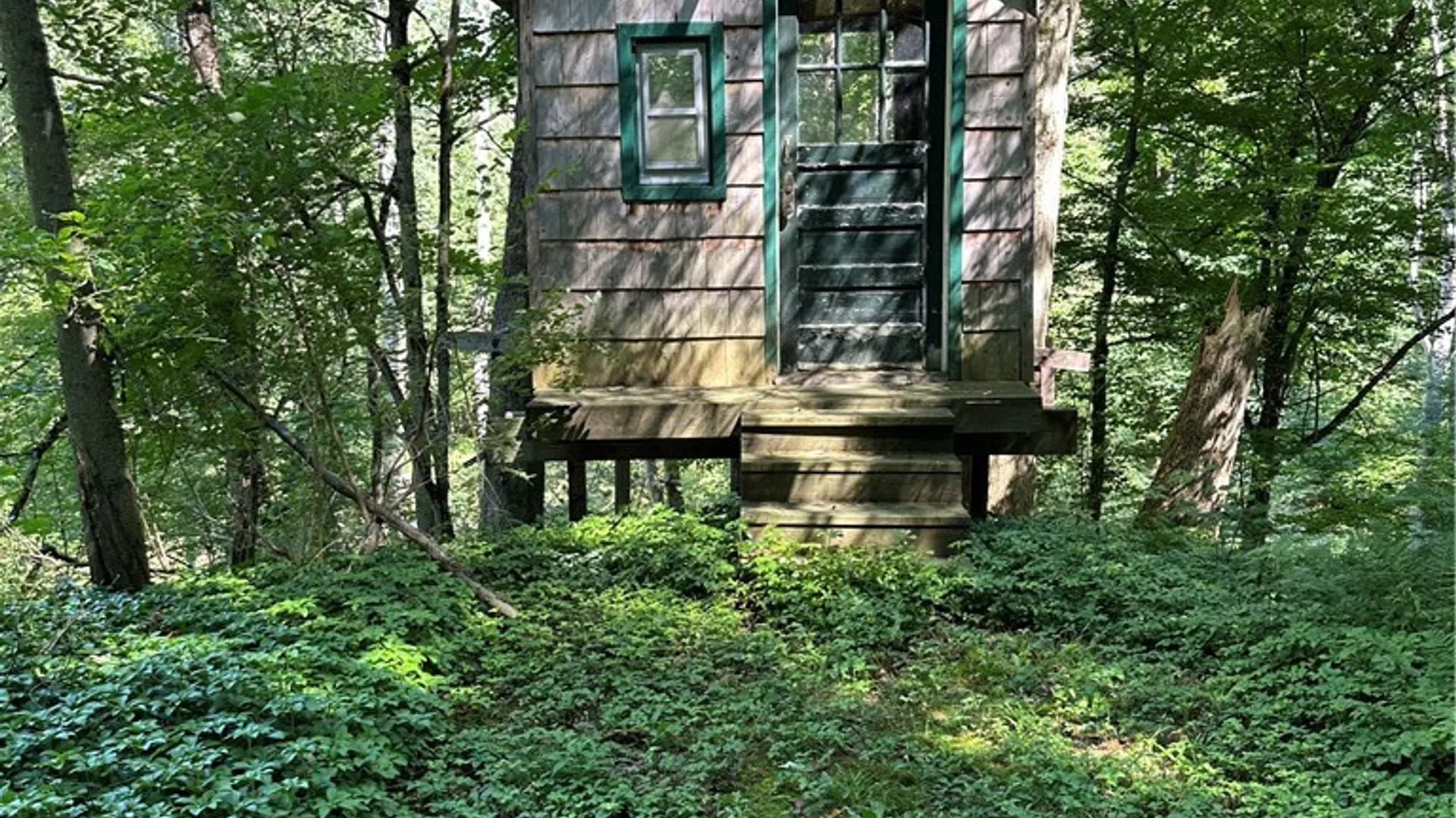 Property at 2326 Snyder Road, Orangeville, NY 14569 5
