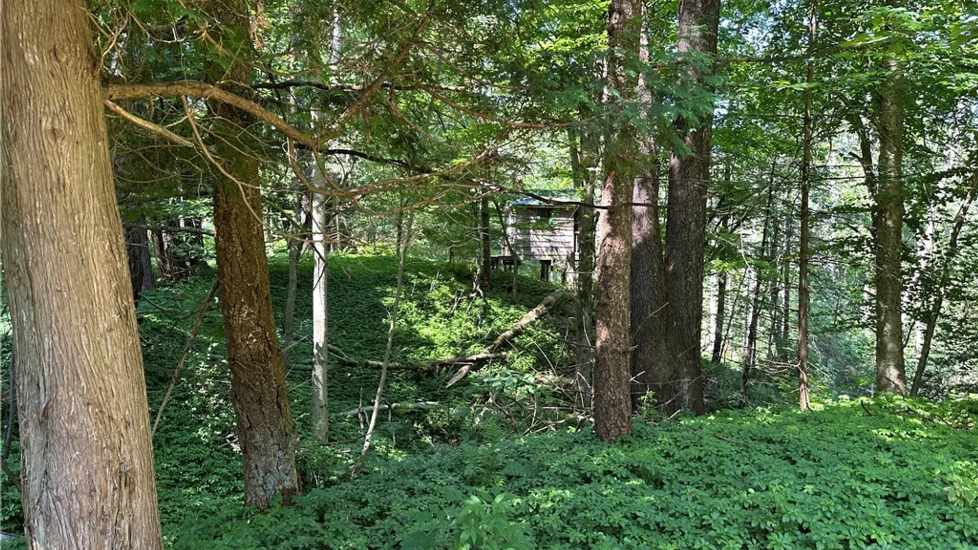 Property at 2326 Snyder Road, Orangeville, NY 14569 10