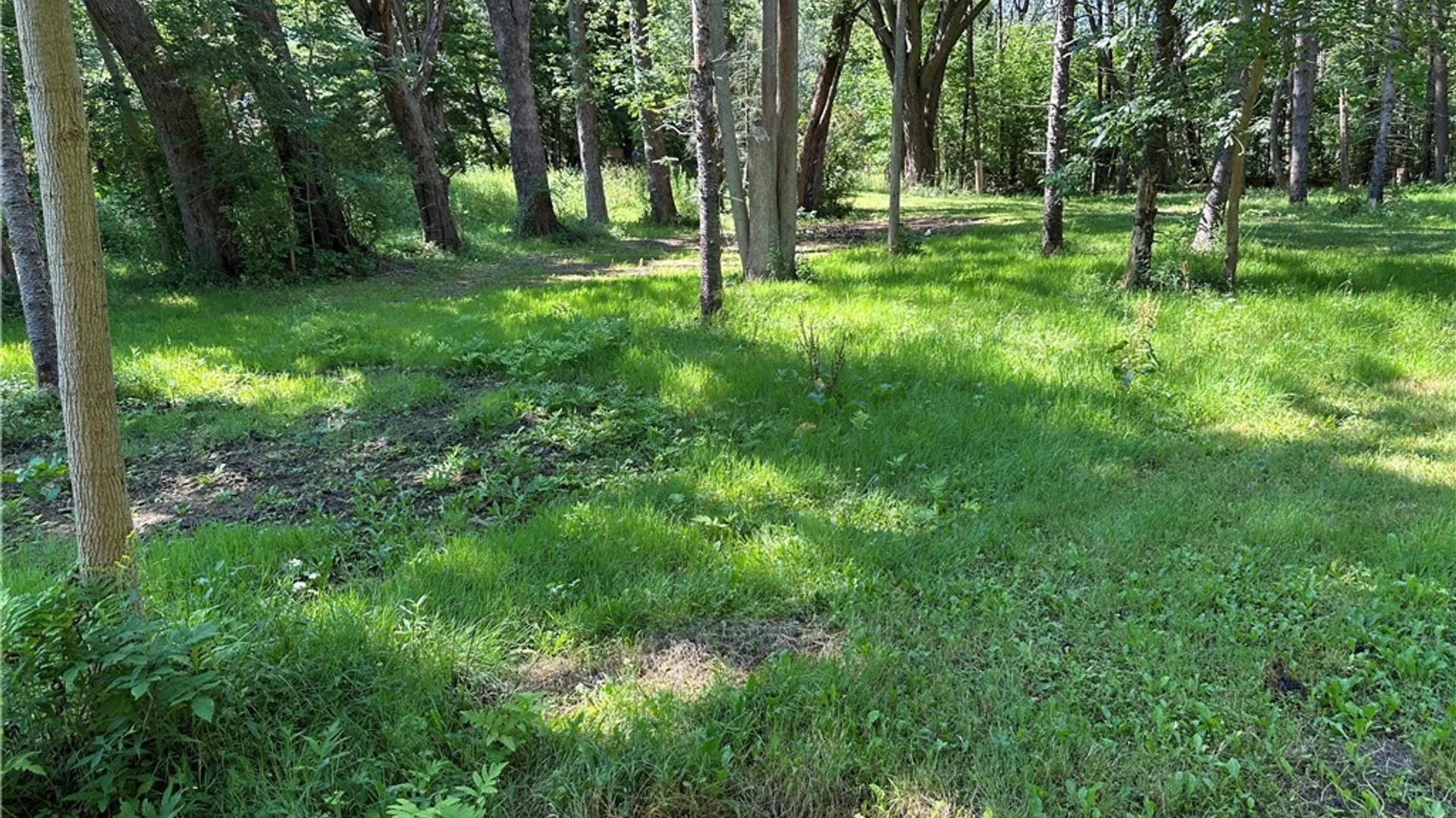 Property at 2326 Snyder Road, Orangeville, NY 14569 18