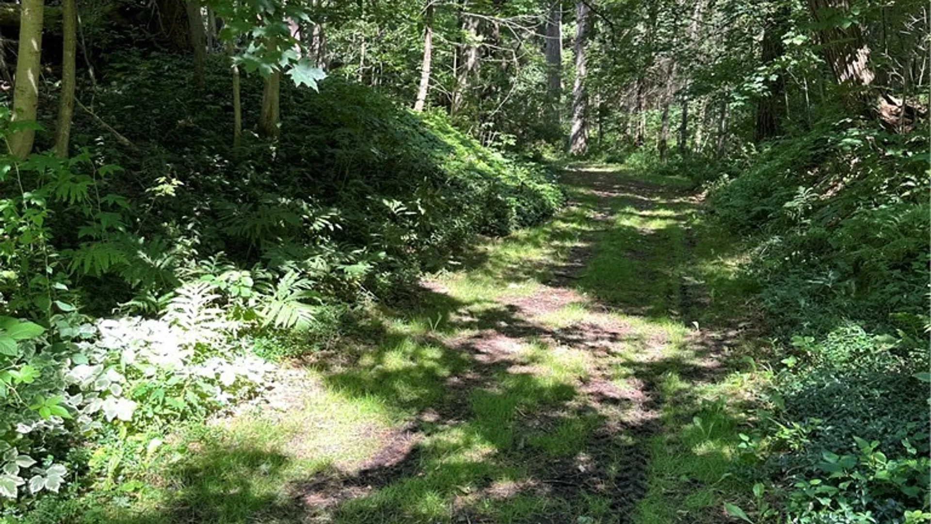 Property at 2326 Snyder Road, Orangeville, NY 14569 19
