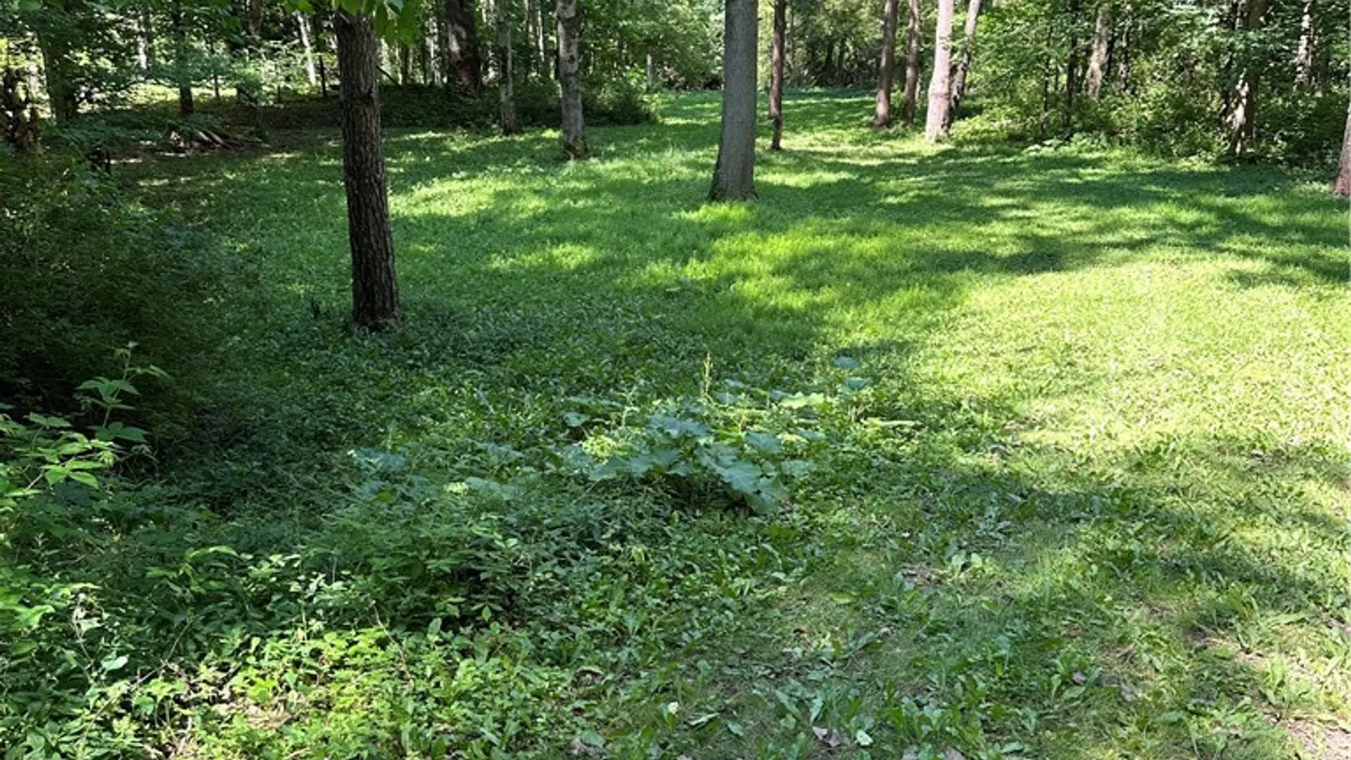 Property at 2326 Snyder Road, Orangeville, NY 14569 20