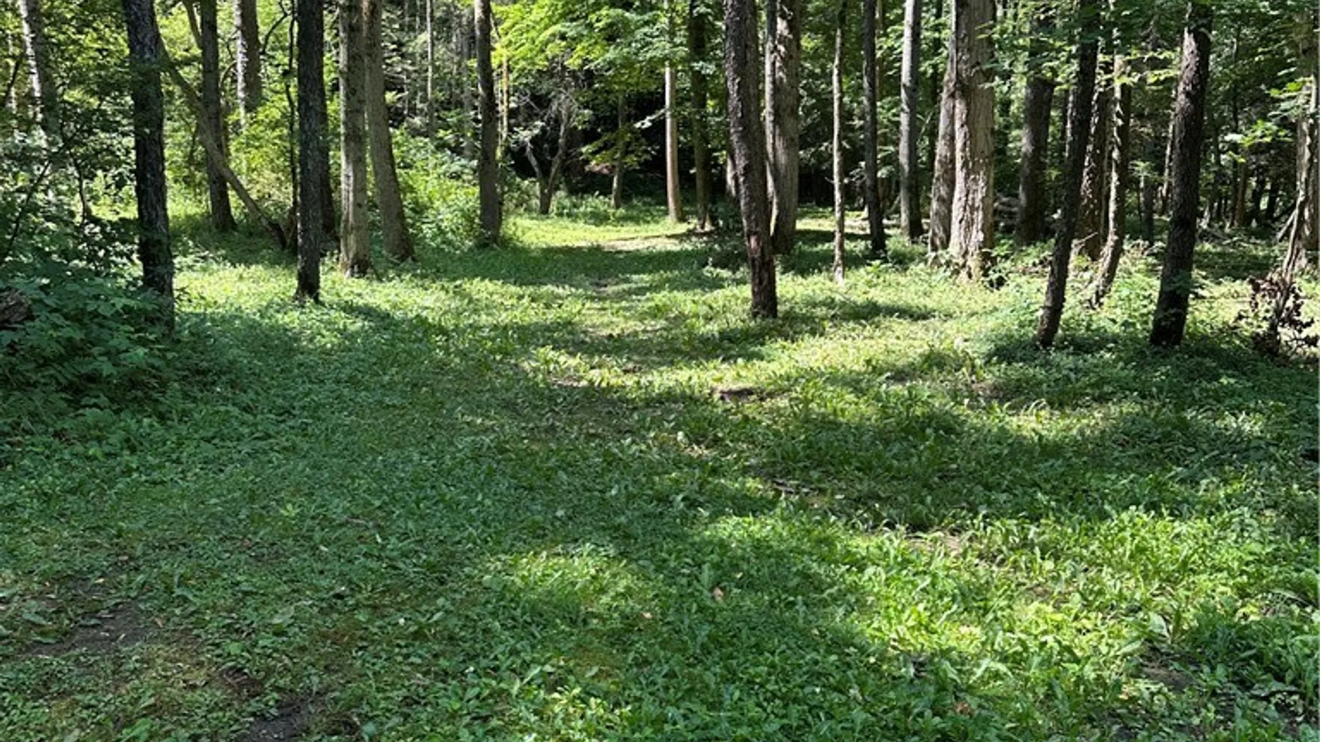 Property at 2326 Snyder Road, Orangeville, NY 14569 21