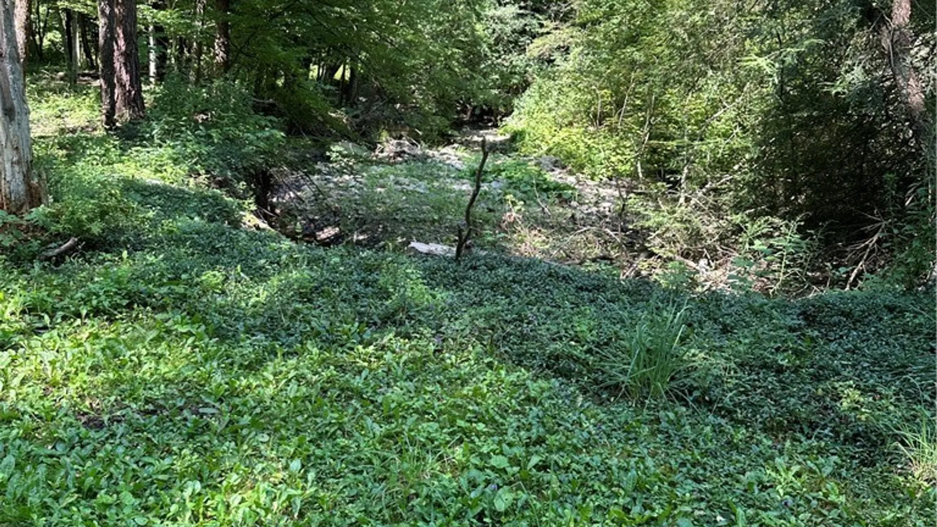 Property at 2326 Snyder Road, Orangeville, NY 14569 22