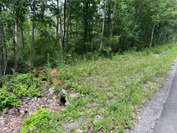 Property at 00 Stagecoach Road, Conesus, NY 14435