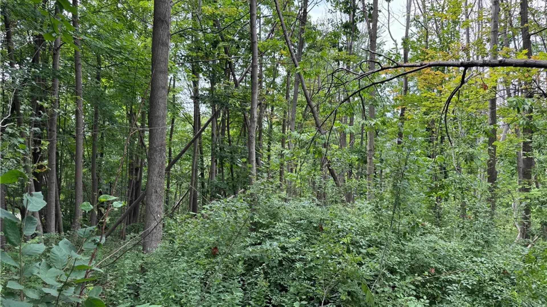 Property at 00 Stagecoach Road, Conesus, NY 14435 6