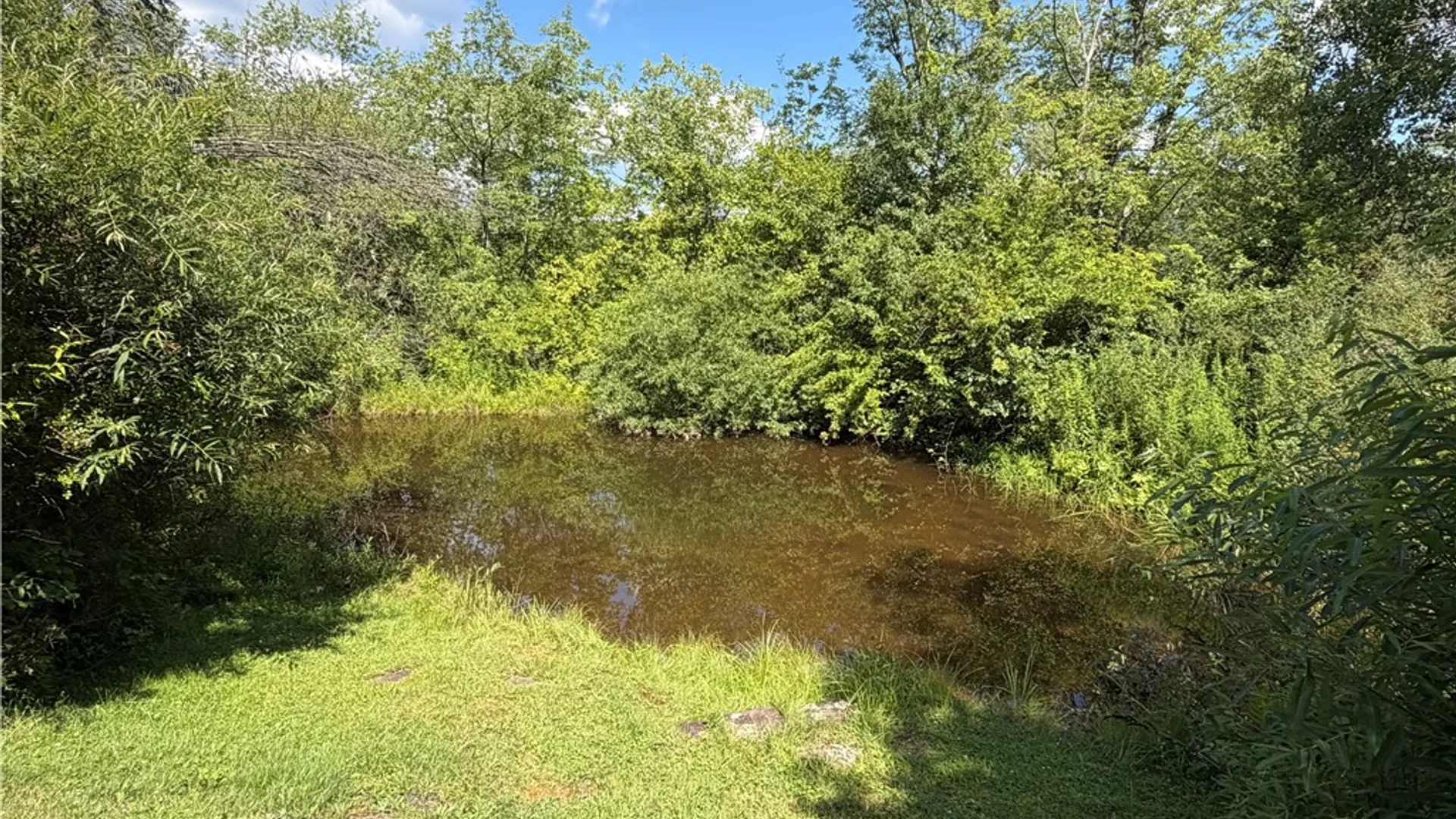 Property at 375 N Tyner Rd, Smithville, NY 13778 18