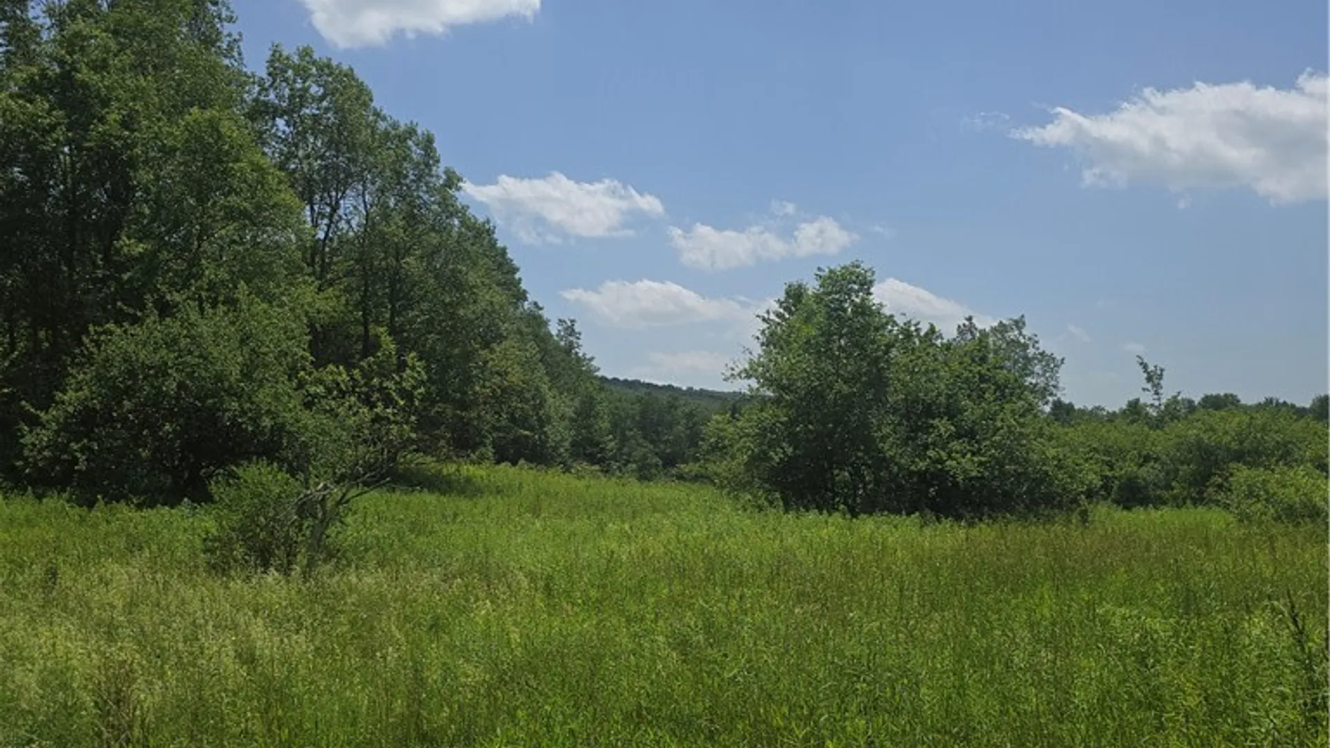 Property at 972 State Highway 23, Pitcher, NY 13801 9