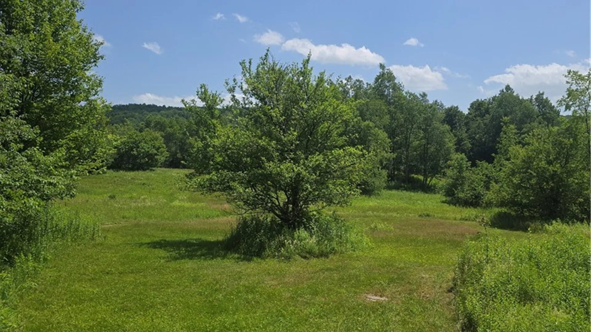 Property at 972 State Highway 23, Pitcher, NY 13801 11