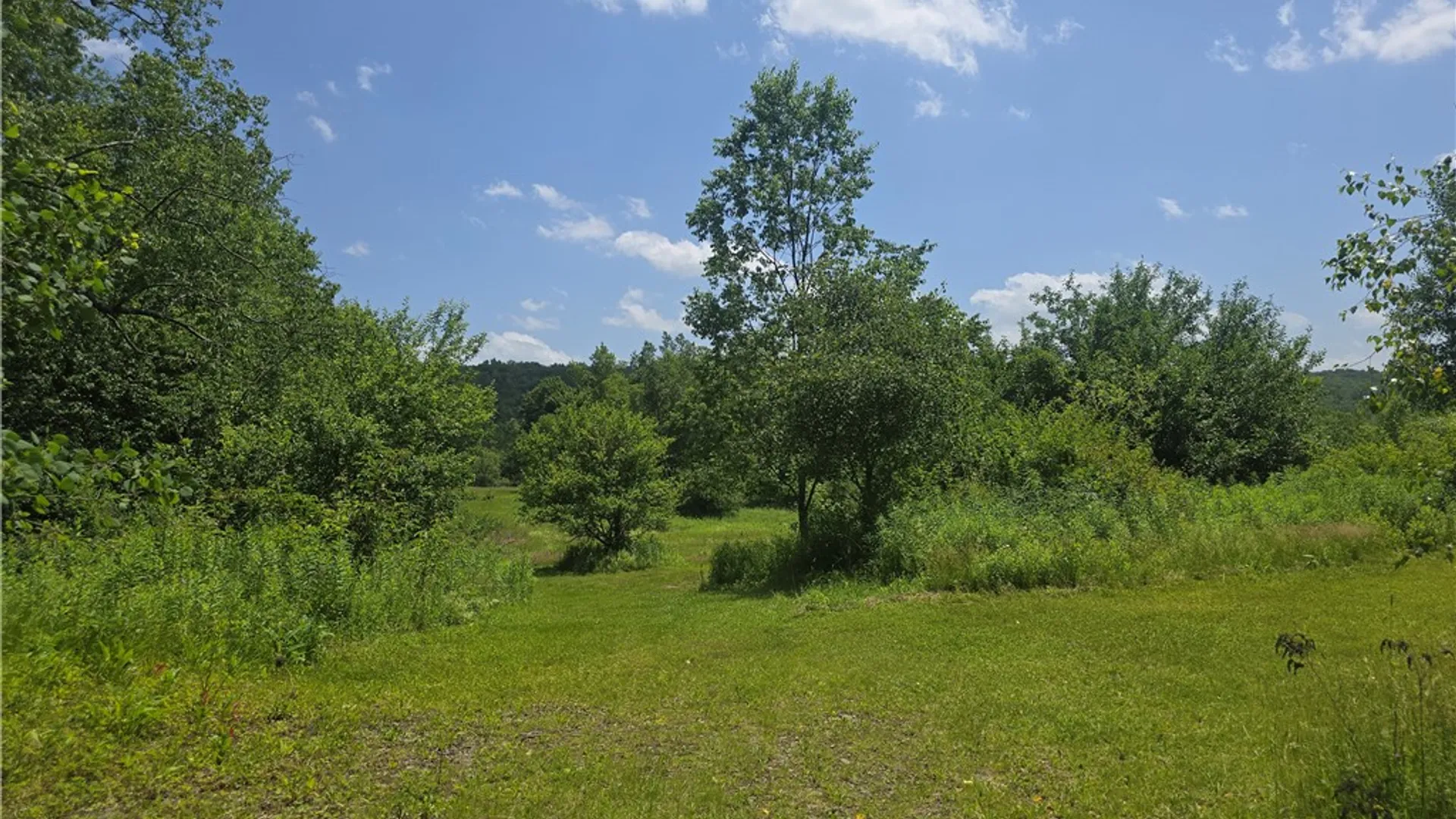 Property at 972 State Highway 23, Pitcher, NY 13801 12