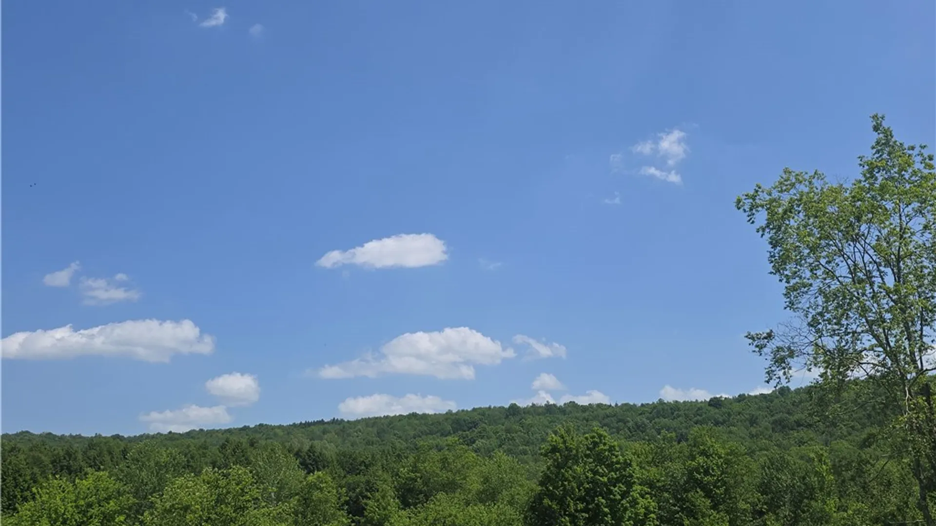 Property at 972 State Highway 23, Pitcher, NY 13801 4