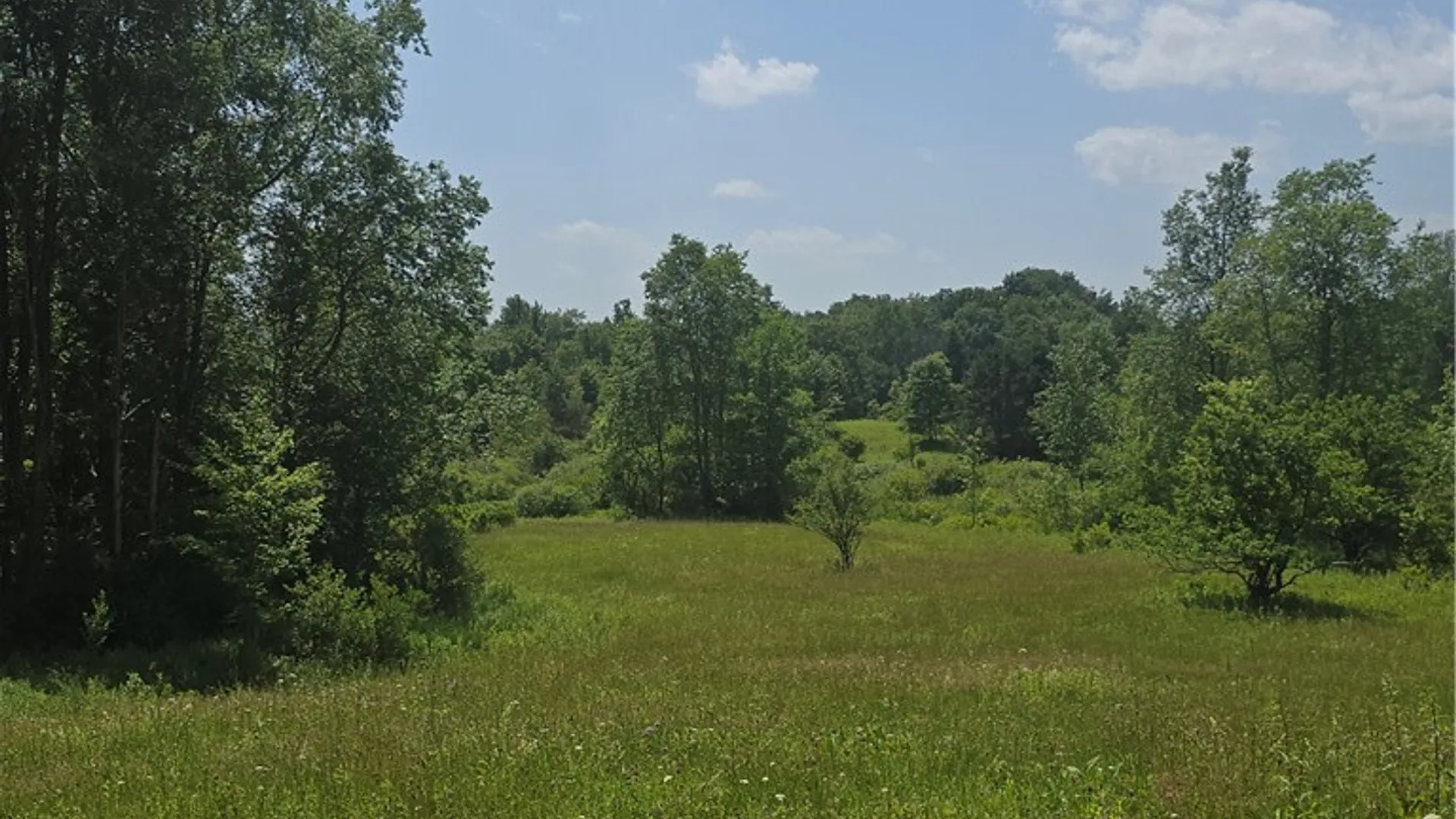 Property at 972 State Highway 23, Pitcher, NY 13801 5