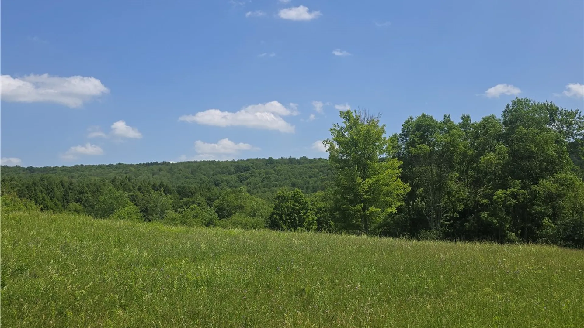 Property at 972 State Highway 23, Pitcher, NY 13801 6